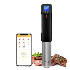 Inkbird ISV-100W Sous Vide WiFi Cooker Immersion Circulator